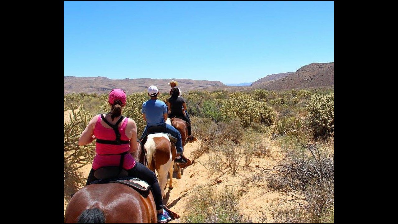 Las Vegas horseback riding tours, Horseback riding tours in las vegas