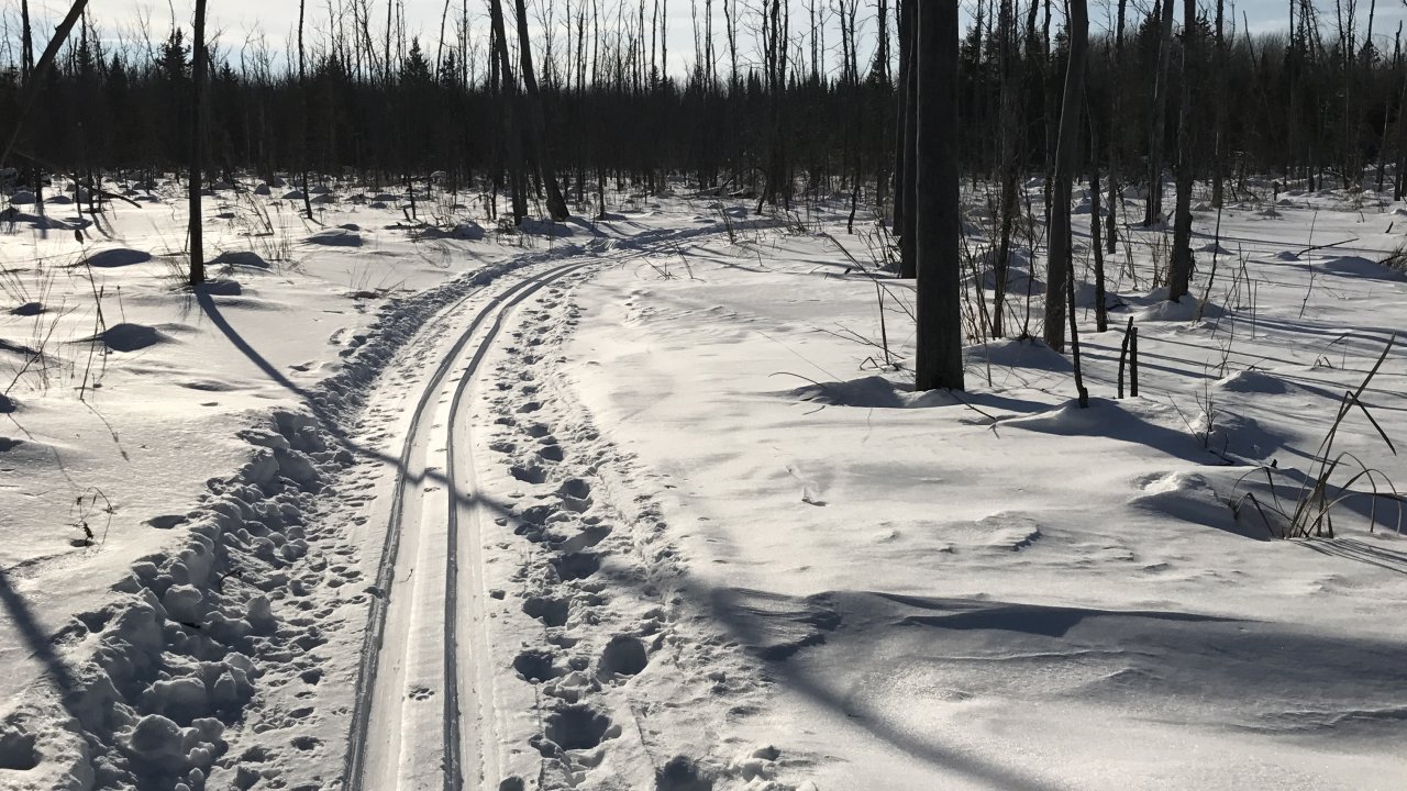 Pinawa Unplugged Pinawa Unplugged Cross Country Ski Rental