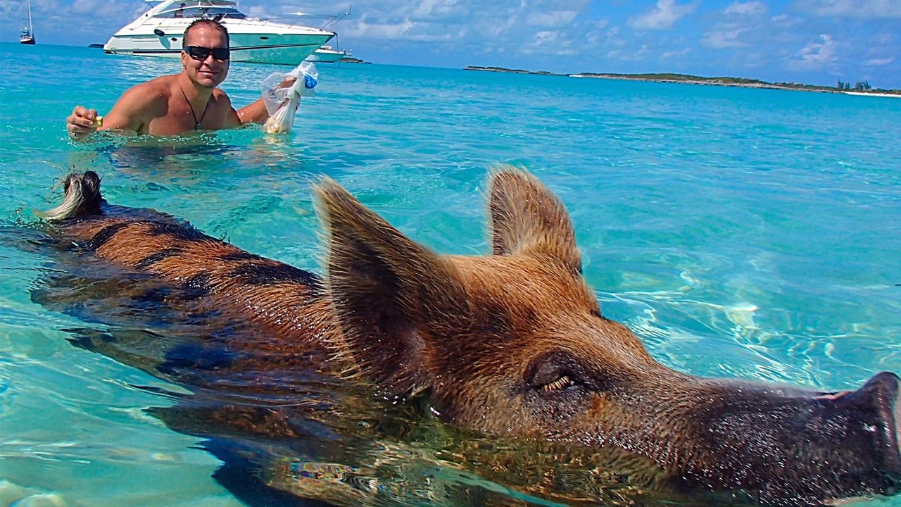 Rezgo Template Better in Bahamas